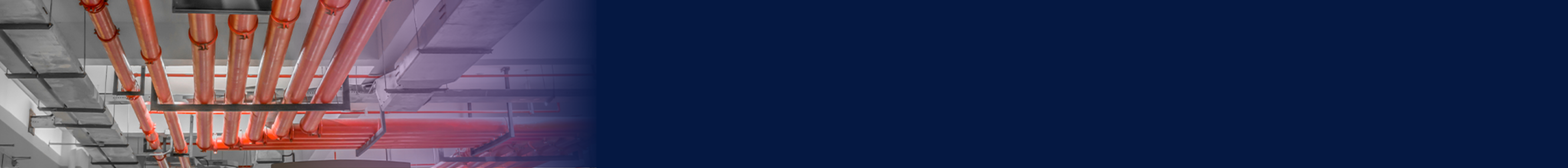 Banner Apolo